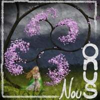 Onus